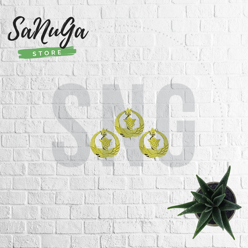 BROS/PIN KEWIRAAN PRAJA IPDN