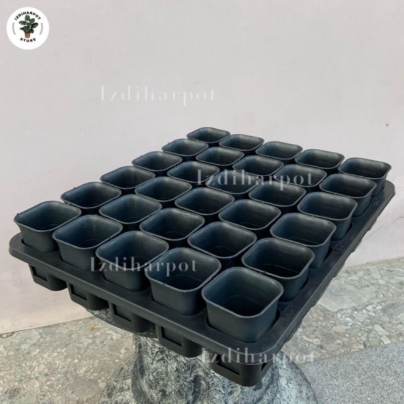 1 SET TRAY LUBANG 30 + POT NKT KOTAK 5CM HITAM 30 PCS | TRAY SEMAI BIBIT