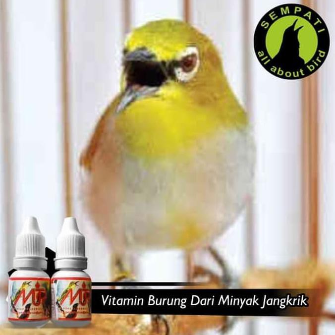 Buruan Beli Mjp Minyak Jangkrik Premium Hore Vitamin Burung
