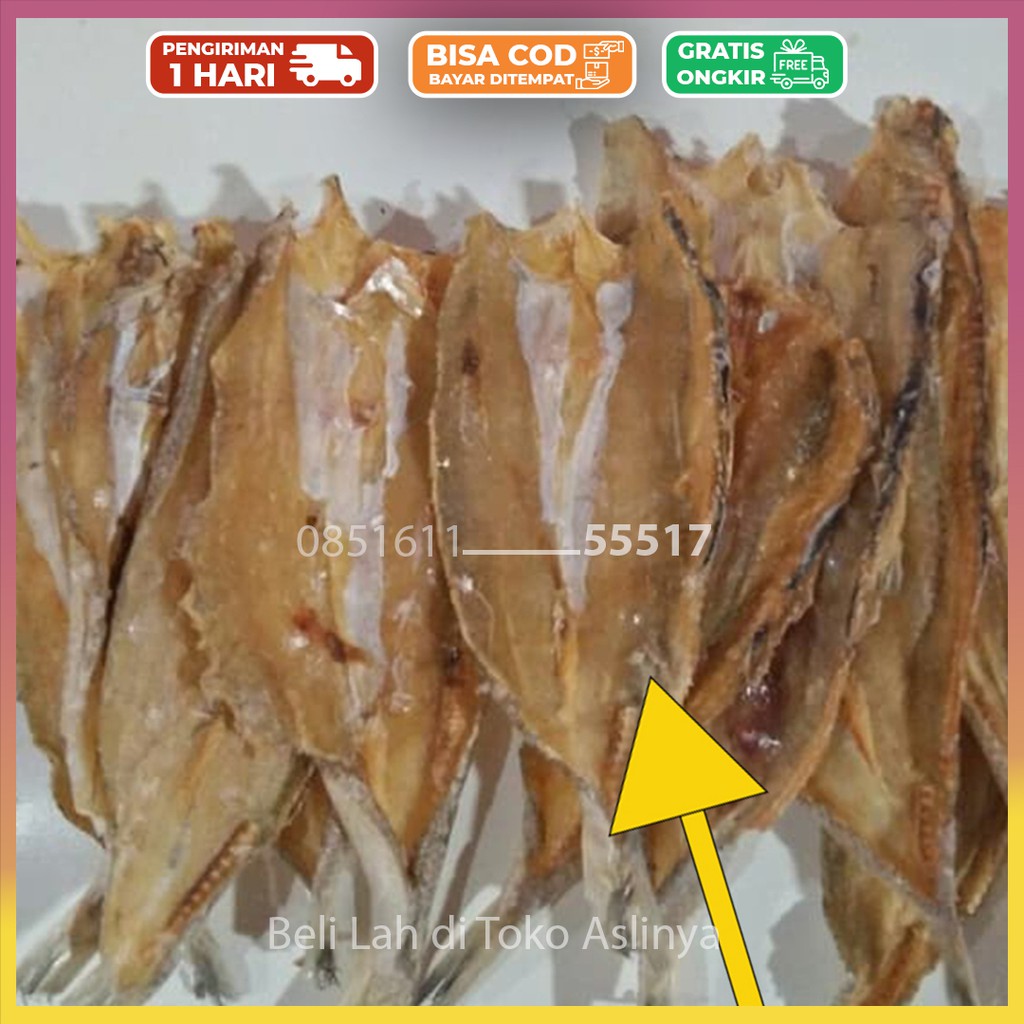 

Ikan Asin Bloso 1Kg 500gr 250gr 100% Fresh