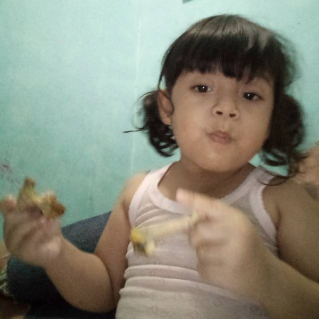 slametriyadi085694168460