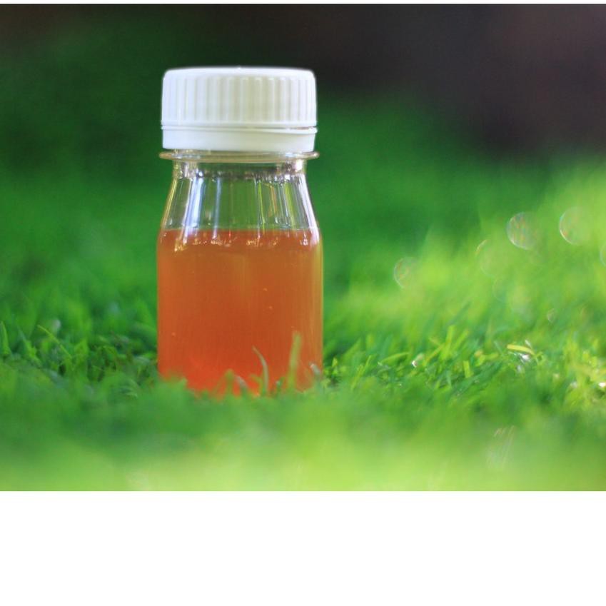 

Gratis Ongkir!! KODE-764 Madu hutan 50 ml / Minuman Kesehatan / Madu Odeng