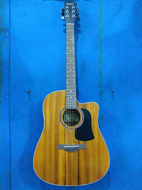 Gitar Akustik Camwood Original Murah Solid Pickguard Tipe  IWC 243 NSK NAK Jakarta