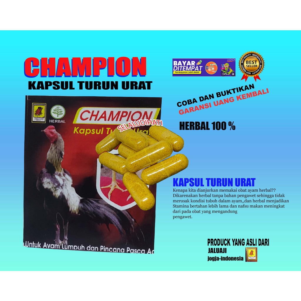 CHAMPION KAPSUL TURUN URAT LUMPUH PINCANG BENGKAK JALU AJI AYAM-OBAT,JAMU,VITAMIN AYAM-DOPING