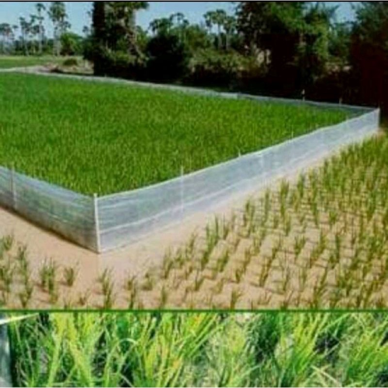 Plastik Pagar sawah 50 m Plsatik Sawah Platik pertanian plastik penghalang hama sawah
