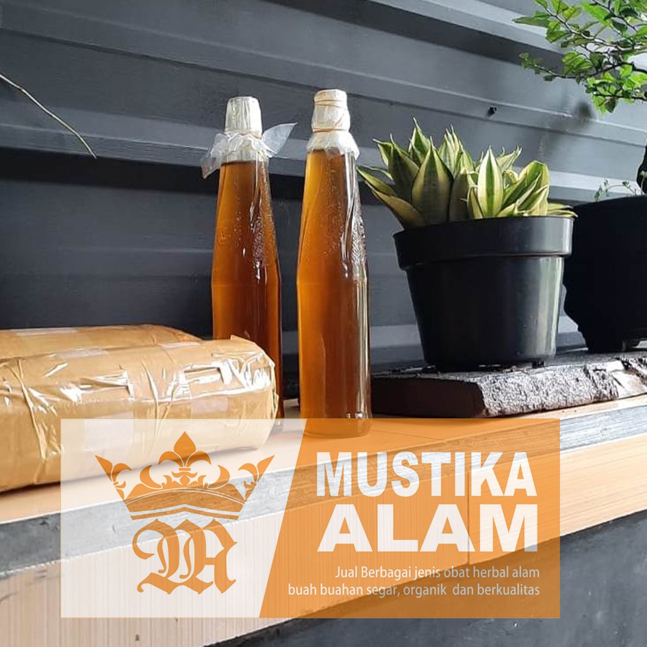 MADU ODENG MADU HUTAN ASLI DIAMBIL LANGSUNG DARI SARANG ODENG/TAWON 800ML MURAH