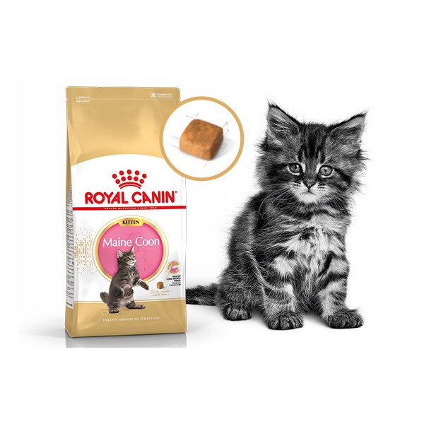 Royal Canin Kitten Mainecoon 2Kg Mainecoon Kitten 2kg