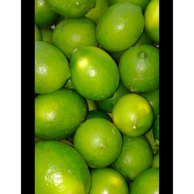 

buah lemon california hijau