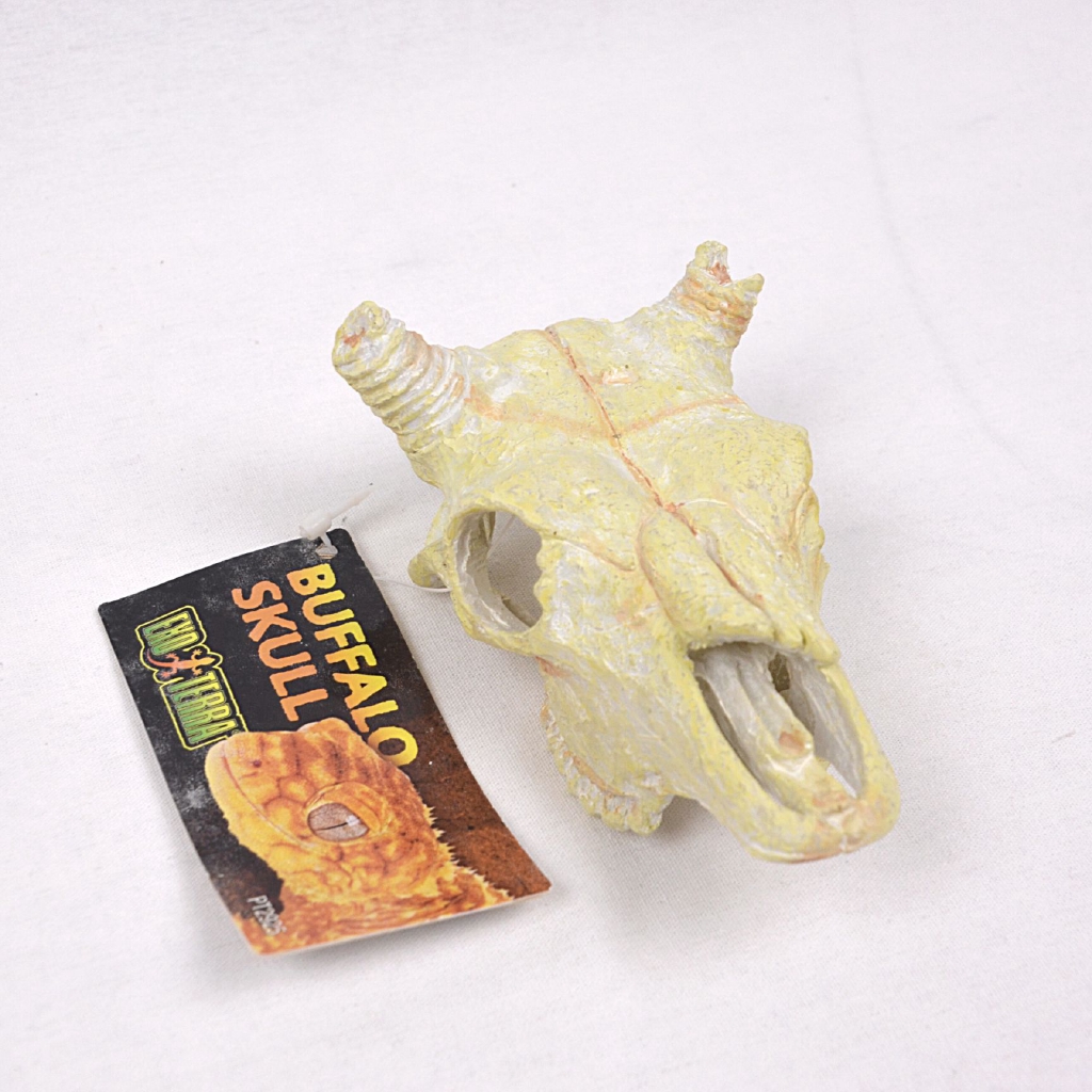 

EXOTERRA Tempat Hiding Reptil BUFFALO Skull Small