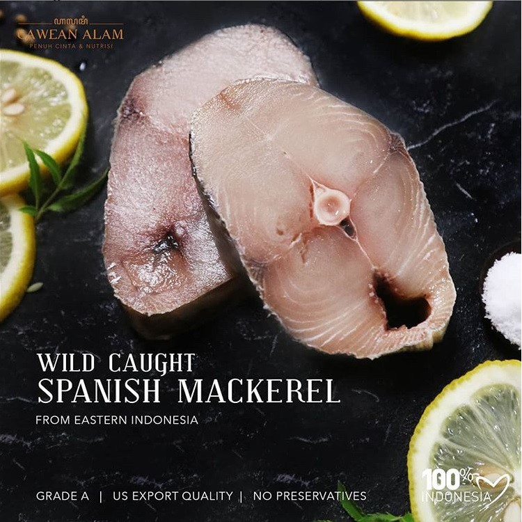 

Wild Caught SPANISH MACKEREL - Grade A - Ikan TENGGIRI (500 gram)