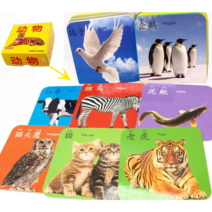 FC-102 Flashcard Belajar Anak 45 Lembar Bahasa Inggris Mandarin Pinyin/Kartu Belajar