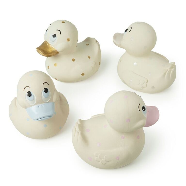 

Oil and Carol Duck Small