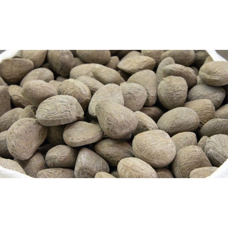 

KELUAK/KLUWEK/KELUWEK/KEPAYANG MURAH 1 KILOGRAM