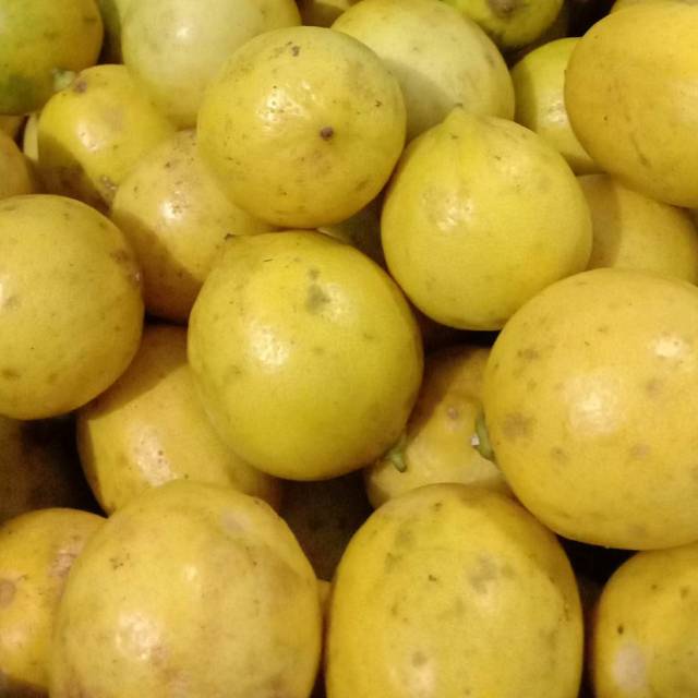 

[1Kg] Lemon Lokal Grade A