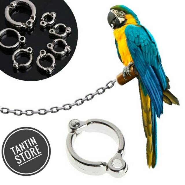Ring Borgol Untuk Burung BlueAndGold Macaw Parrot