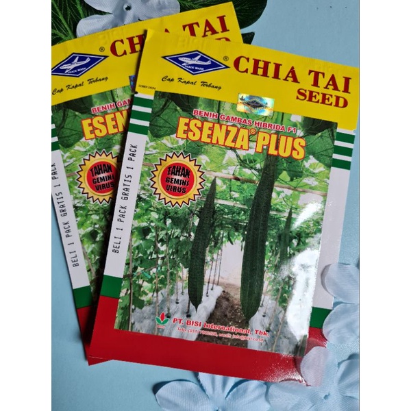 Benih Oyong ESENZA PLUS 10gr Cap Kapal Terbang