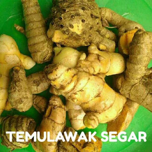 

Temulawak Segar Organik Untuk Minuman Herbal 1 Kg