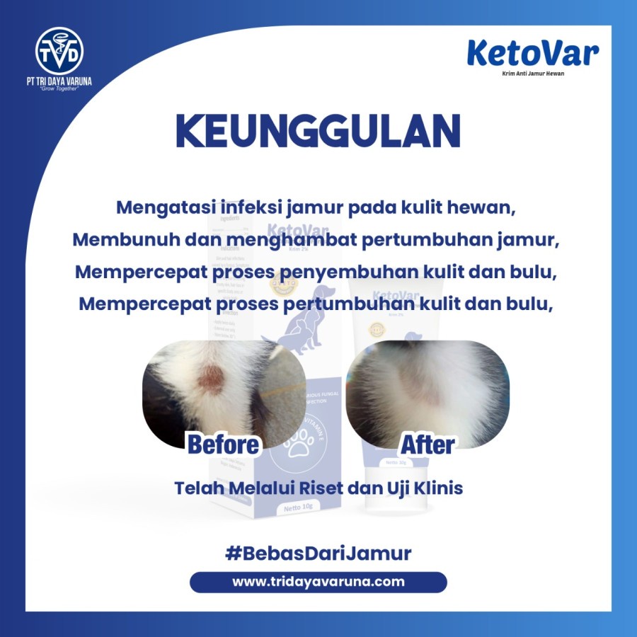 Ketovar Krim Salep Obat Jamur Ringworm Hewan Anjing Kucing Kelinci 10 gram