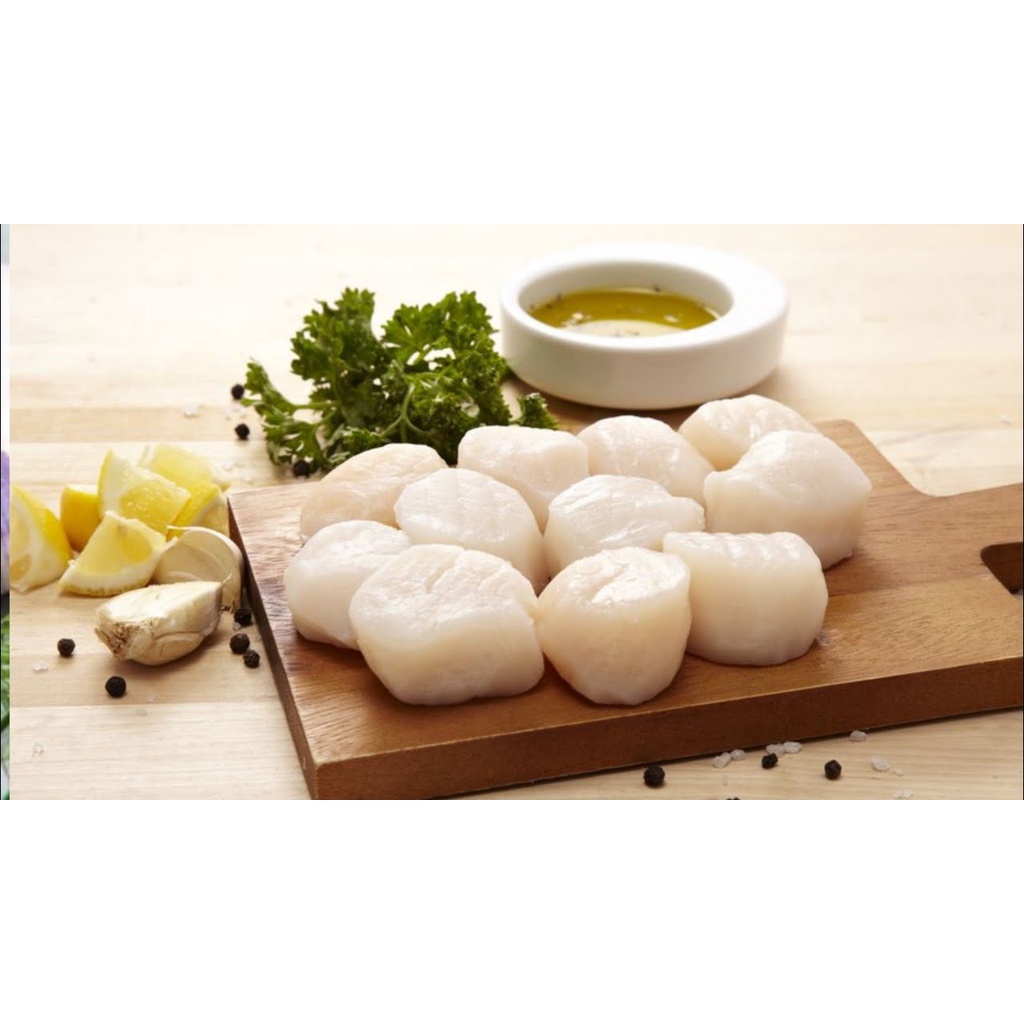 Sea Scallops 500g/ Scallop/  Kerang Kampak