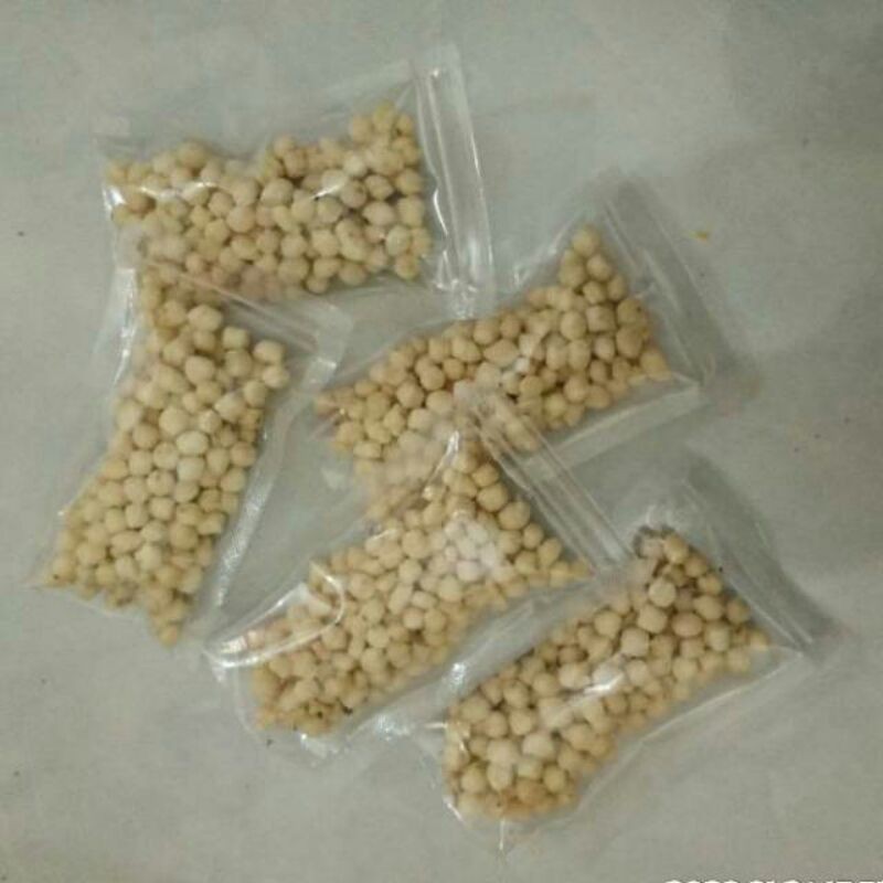 

pilus cikur toping baso aci garut pilus tic tac kencur