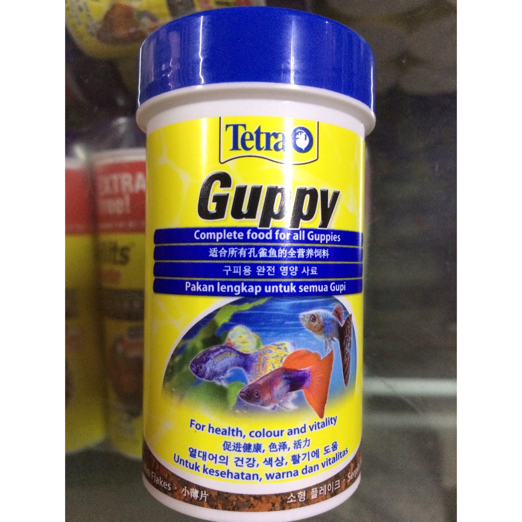 Pakan Ikan Tetra Guppy 30 Gram