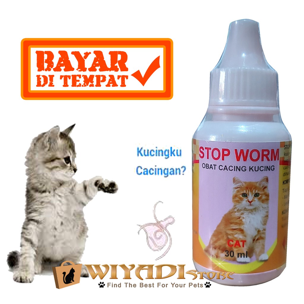 Stop Worm Obat Cacingan Aman Kucing Dan Kitten