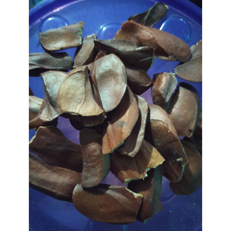 

Biji Mahoni/maoni/ mauni/ magohany 1 kg (grosir lebih murah)