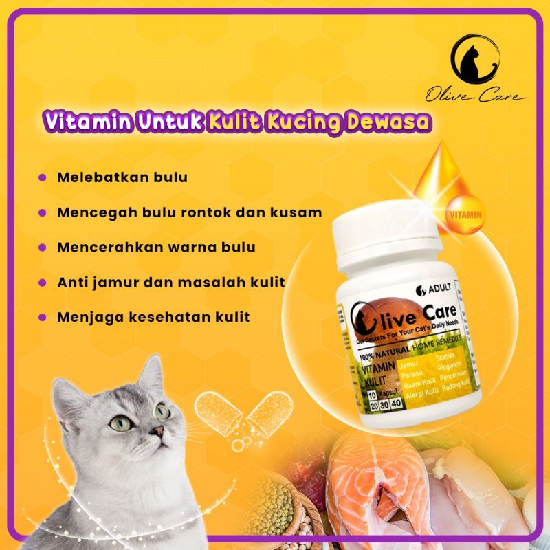 Olive Care Ecer Vitamin Kulit Kucing Dewasa Masalah Bulu Rontok, Jamur Scabies, Kutu dan Masalah Kulit