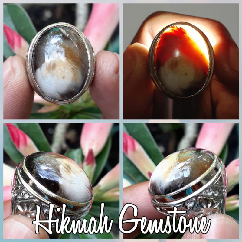 Batu Fosil Kayu Kelor Kristal Junjung Derajat