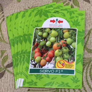 BENIH TOMAT SERVO F1