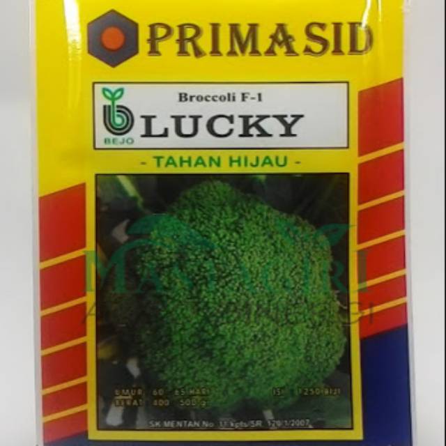 PRIMASID Benih Brokoli F1 Lucky / Bejo kemasan 5000 biji