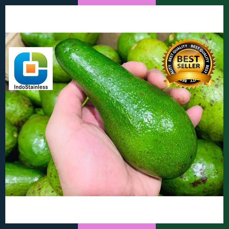 

Alpukat Mentega Unggulan / Alpukat Mentega Lampung / Alpukat Mentega