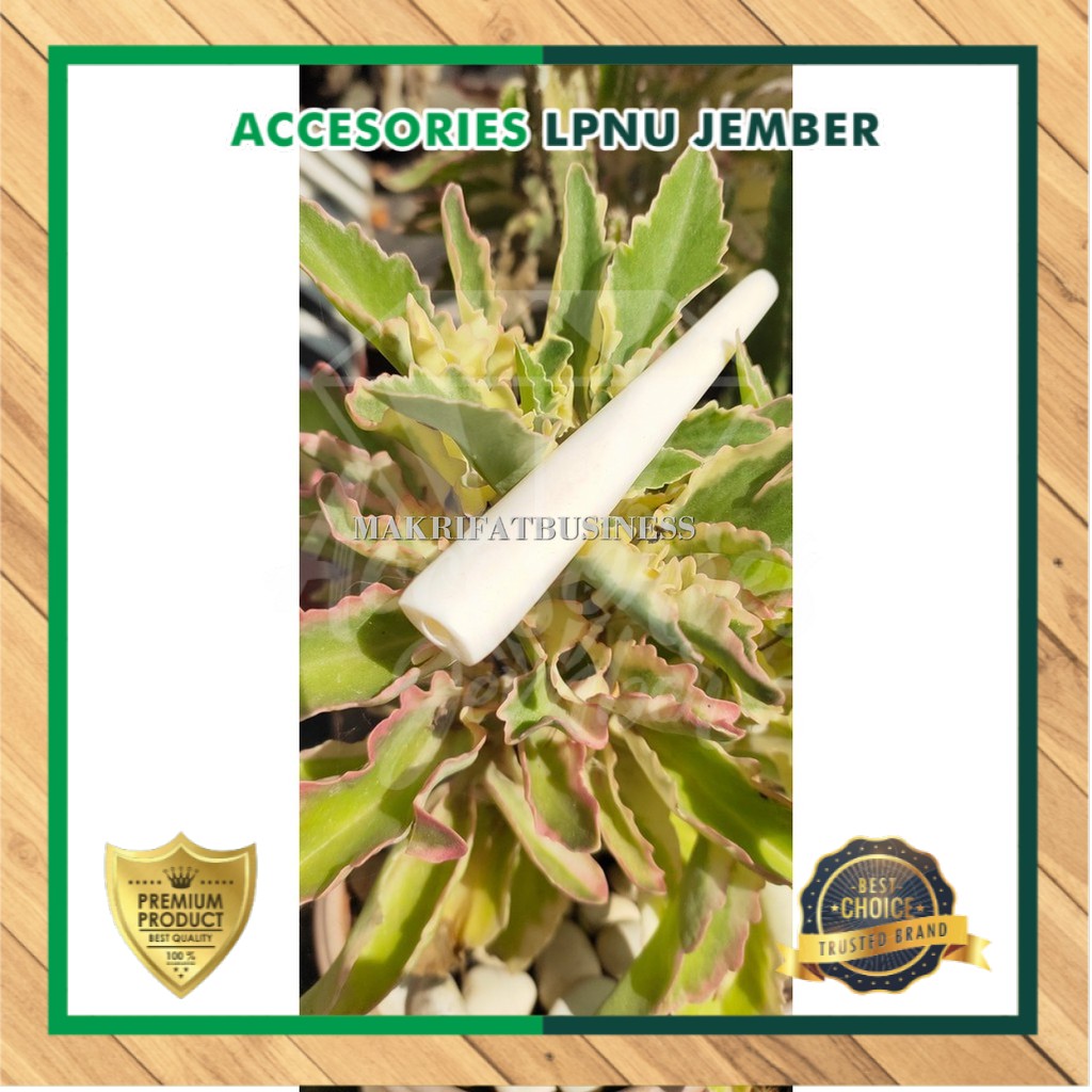 Pipa Rokok Tulang Sapi Polos 10 cm Kode PRTSO010