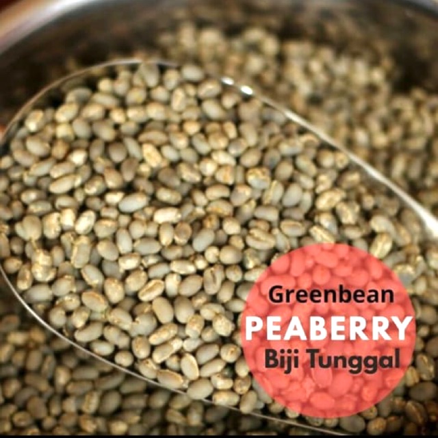 

Kopi gayo peabery