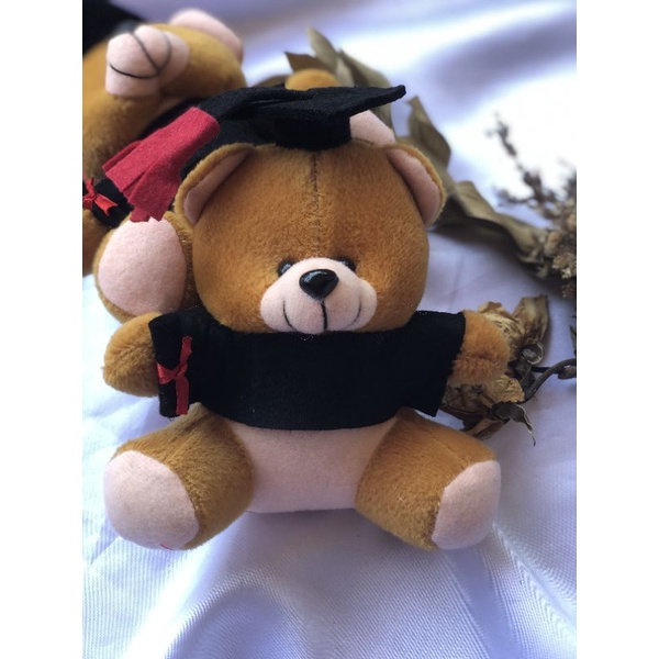 Boneka wisuda buket/boneka buket/boneka hampers/Boneka Mini/Boneka wisuda mini/Boneka murah/hadiah w