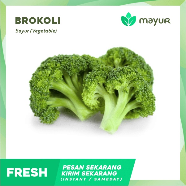 

Brokoli 1 Pcs (+300 gram)