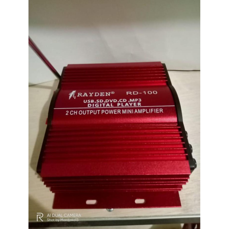 Best Sale Digital Power Mini Amplifier Rayden Rd-100 Car Audio Mobil 2 Chanel