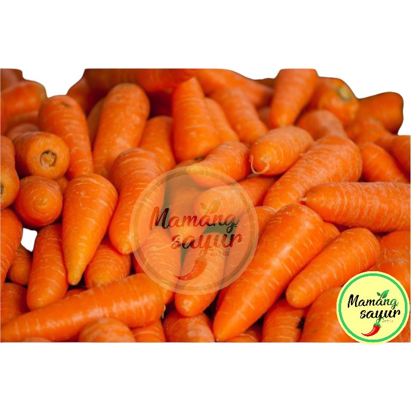 

WORTEL BRASTAGI SUPER 1 KG