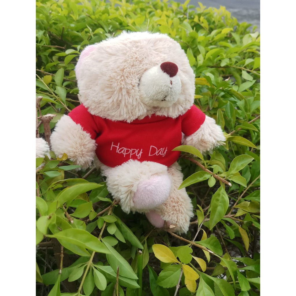 BONEKA TEDY BEAR T-SHIRT 6 INC