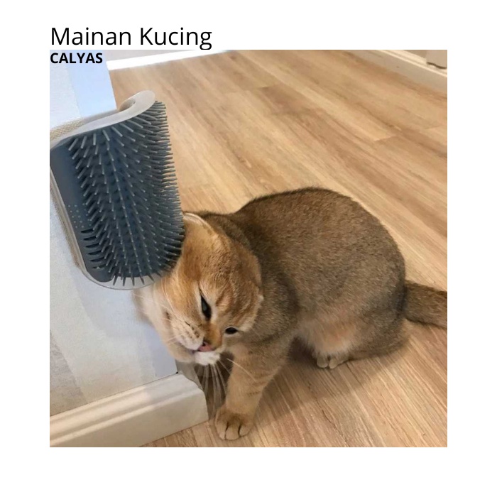 Mainan Sikat Kucing Cat Brush Corner Tickling Comb