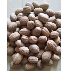 

Buah_pala_kering