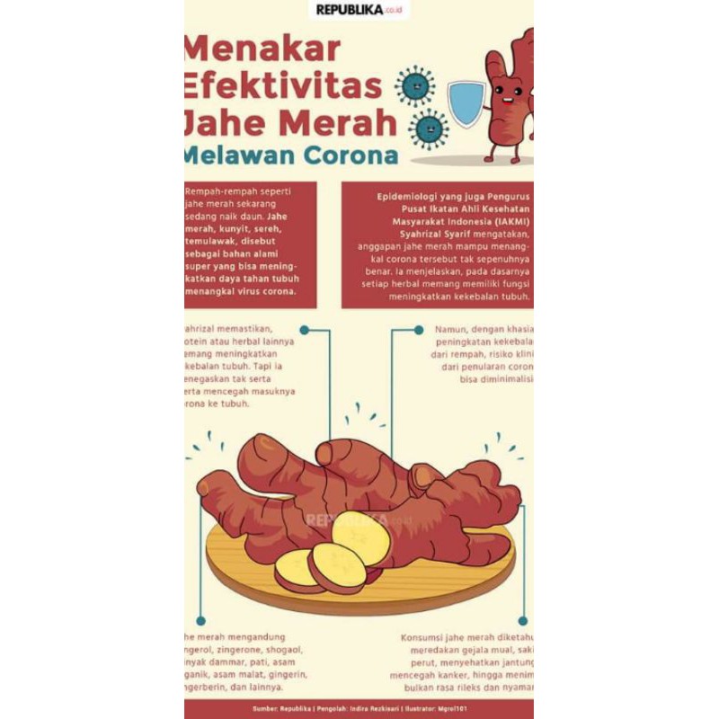

jahe merah