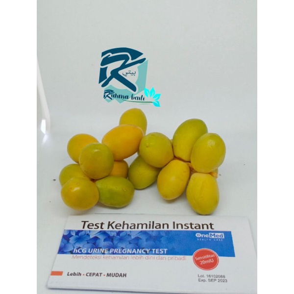 

kurma muda hijau promil kurma muda fress 100gram