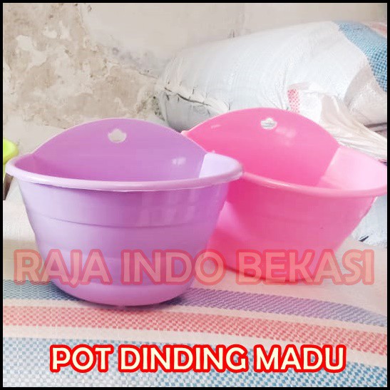 Pot Dinding Madu Putih Hijau Biru Ungu Pot Tempel Madu Putih - Bukan Pot Dinding Argo Gentong Tawon