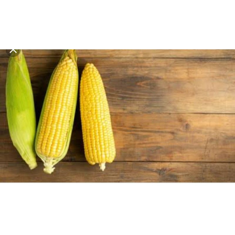 

Jagung manis (400gram/1pcs)