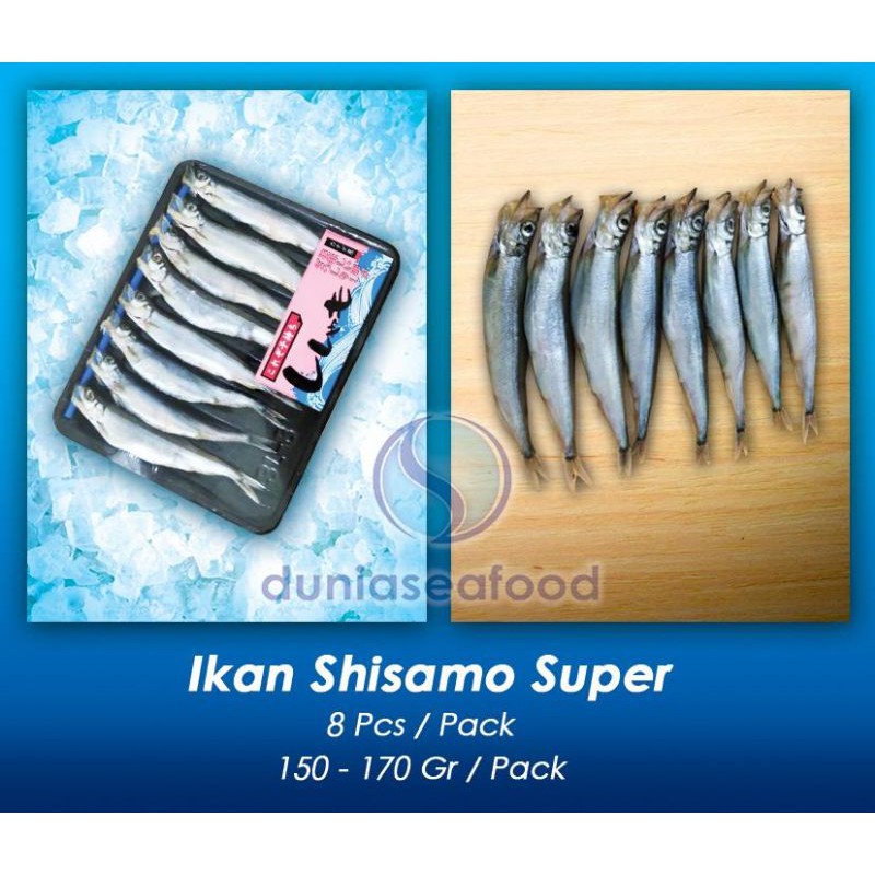 

Ikan Shisamo Betina Super 8 pcs/pack 150-170 gram/pack