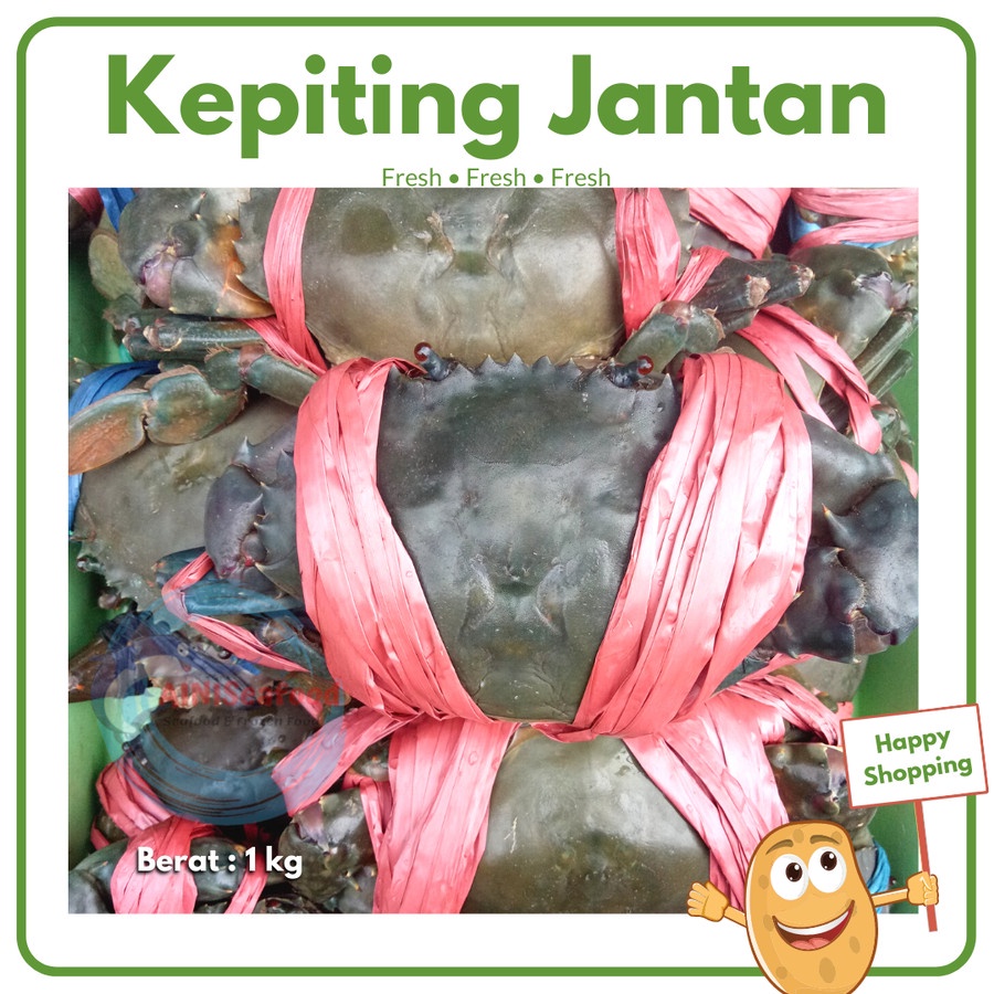 

Kepiting Jantan Kepiting Telur Hidup Segar Fresh Crab Surabaya