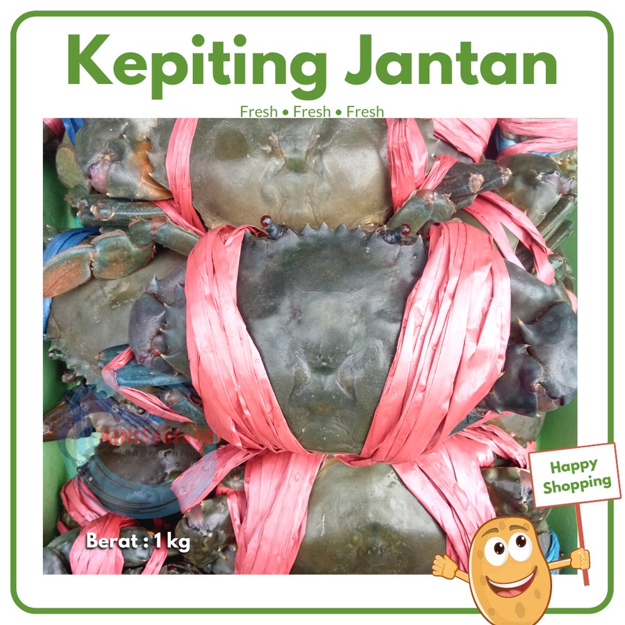 

Kepiting Jantan Kepiting Telur Hidup Segar Fresh Crab Surabaya