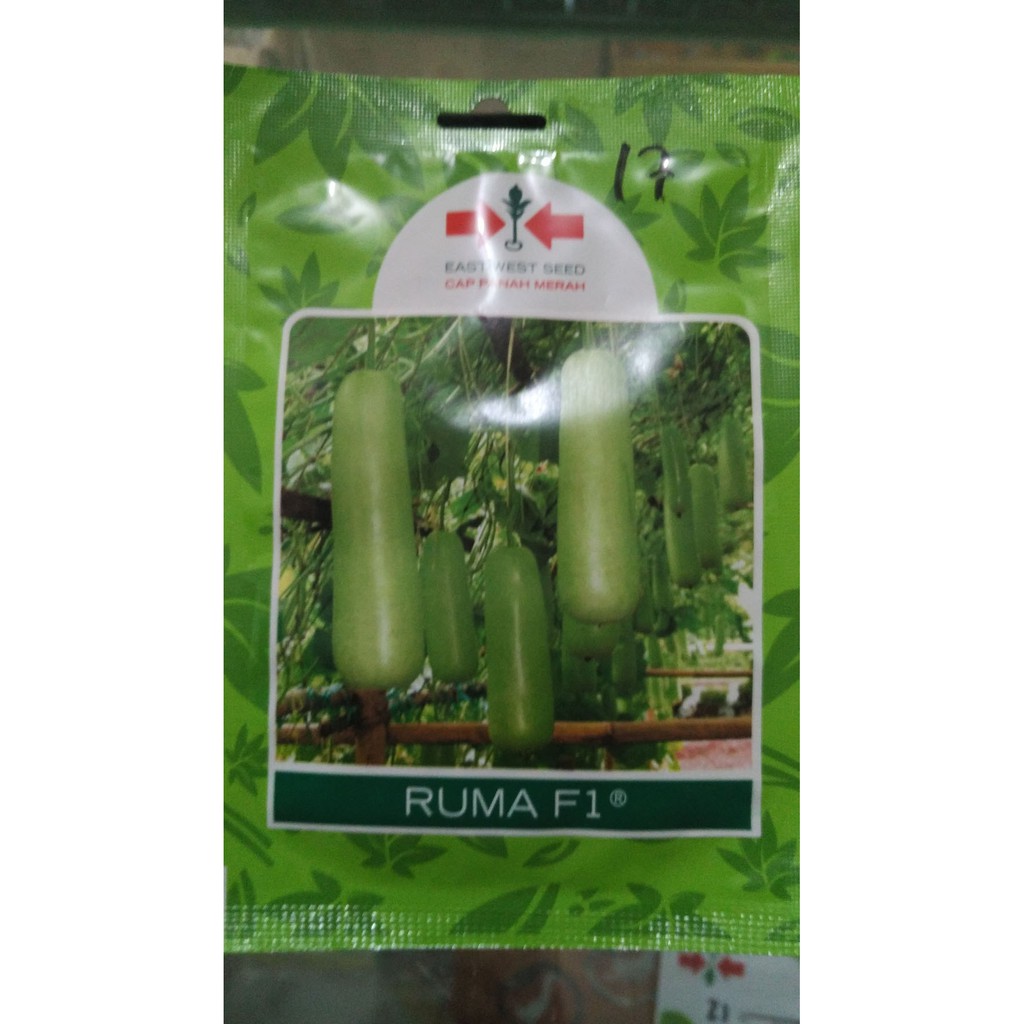 Benih Labu Siam Air Ruma 30 Butir