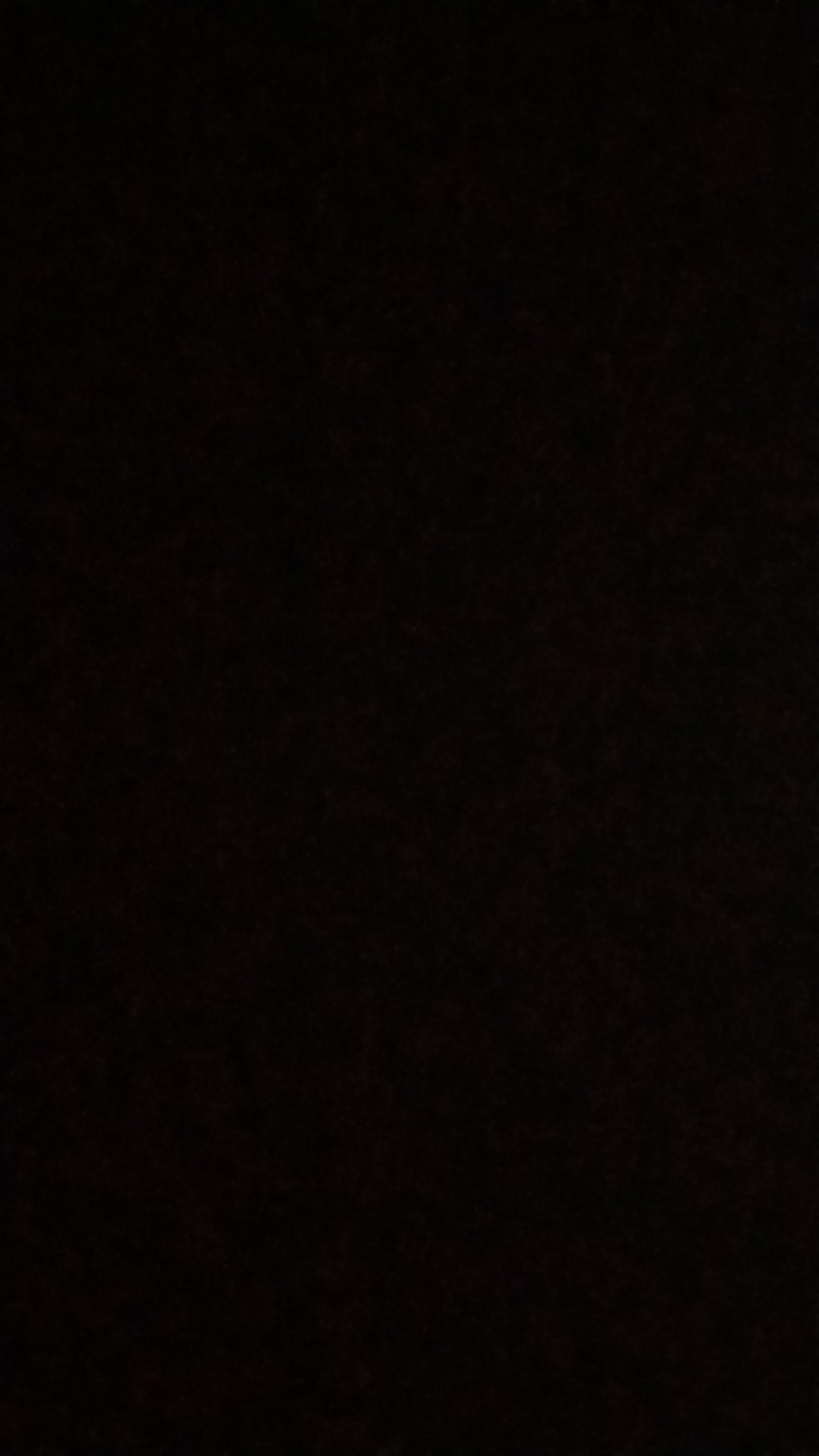 Pisau Dapur Stainless Gagang Kayu